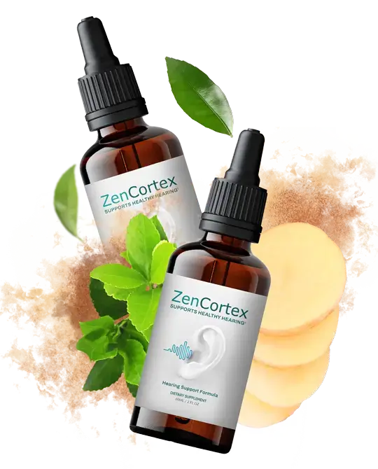 ZenCortex - Image 6